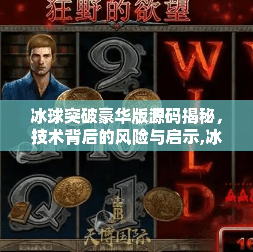 冰球突破豪华版源码揭秘，技术背后的风险与启示,冰球突破豪华版源码