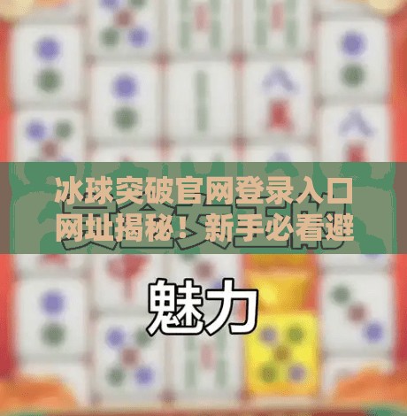 冰球突破官网登录入口网址揭秘！新手必看避坑指南,冰球突破官网登录入口网址是什么